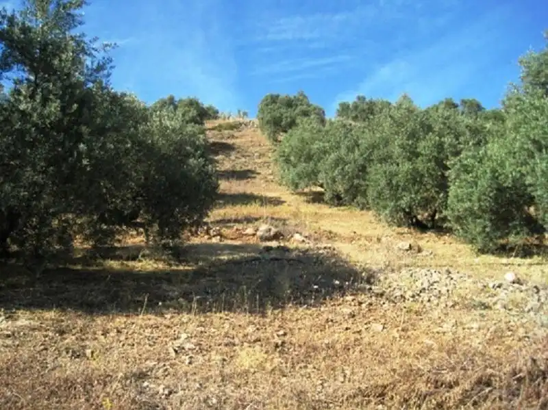 Terreni e lotti in vendita a Navas de San Juan, imagen 4