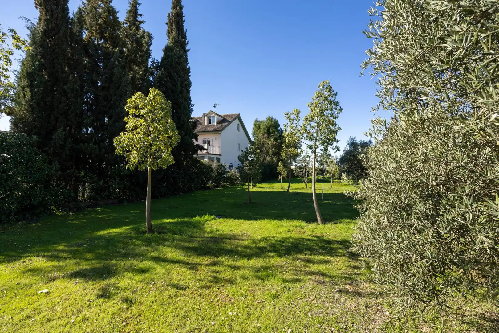 Terreni e lotti in vendita a Urbanización los Cortijos 160, imagen 15