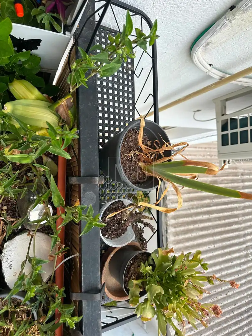 Terraza de Piso en venta en Madrid con Aire acondicionado, Calefacción y Terraza
