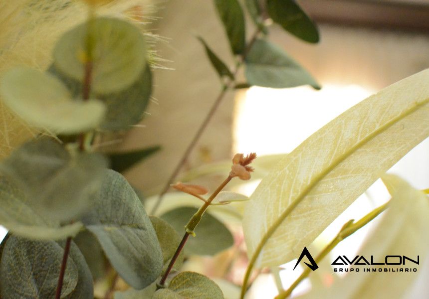 Jardín de Ático en venta en  Huelva Capital con Terraza