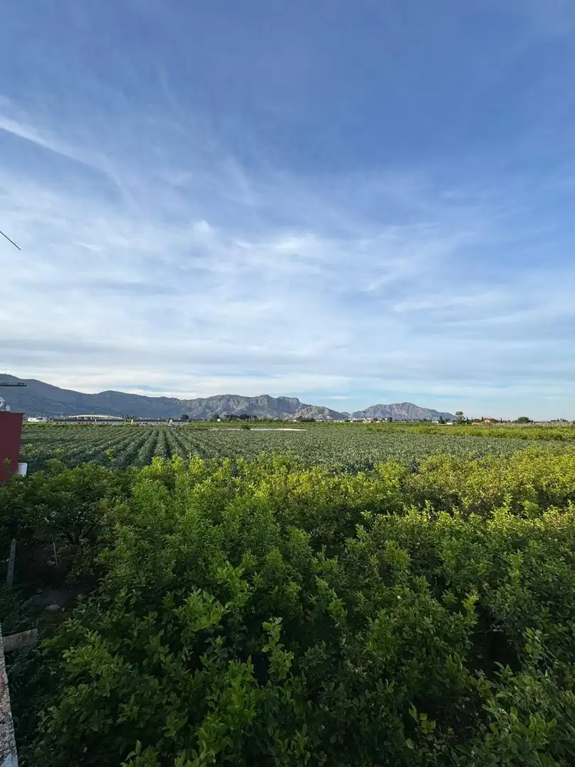 Finca rústica en venda en Orihuela amb Terrassa