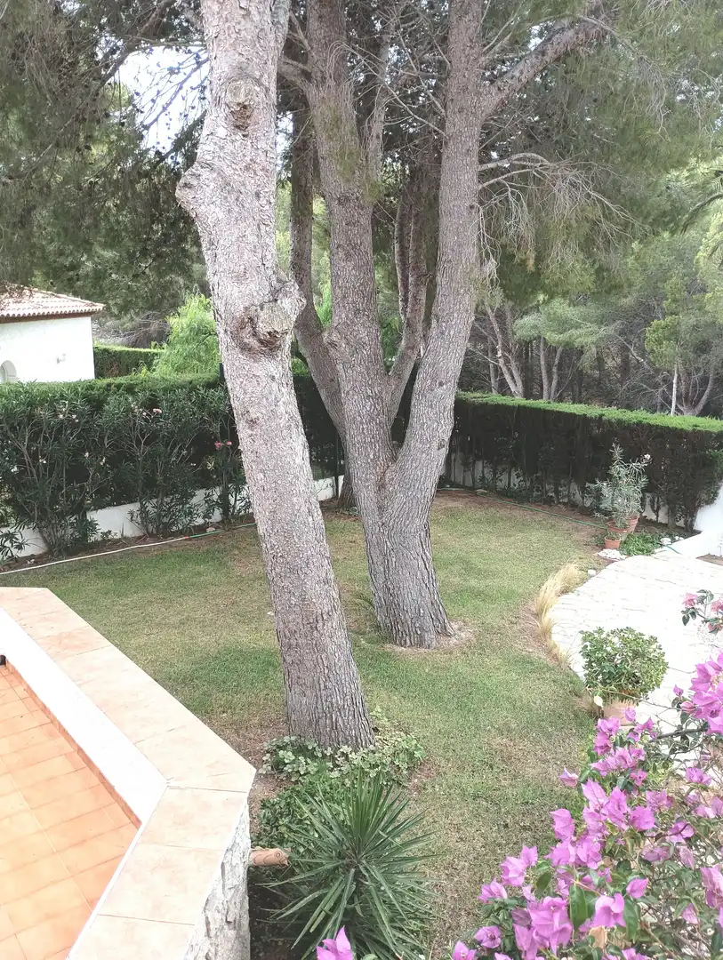 Villa avec jardin à vendre à Miami Platja, imagen 8