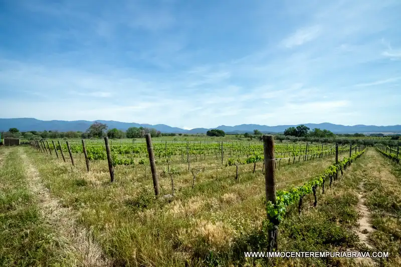 Finca rústica en venta en Masarac i Vilarnadal con Aire acondicionado, Jardín privado y Terraza