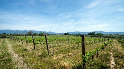Foto 4 de Finca rústica en venta en Masarac i Vilarnadal, Girona