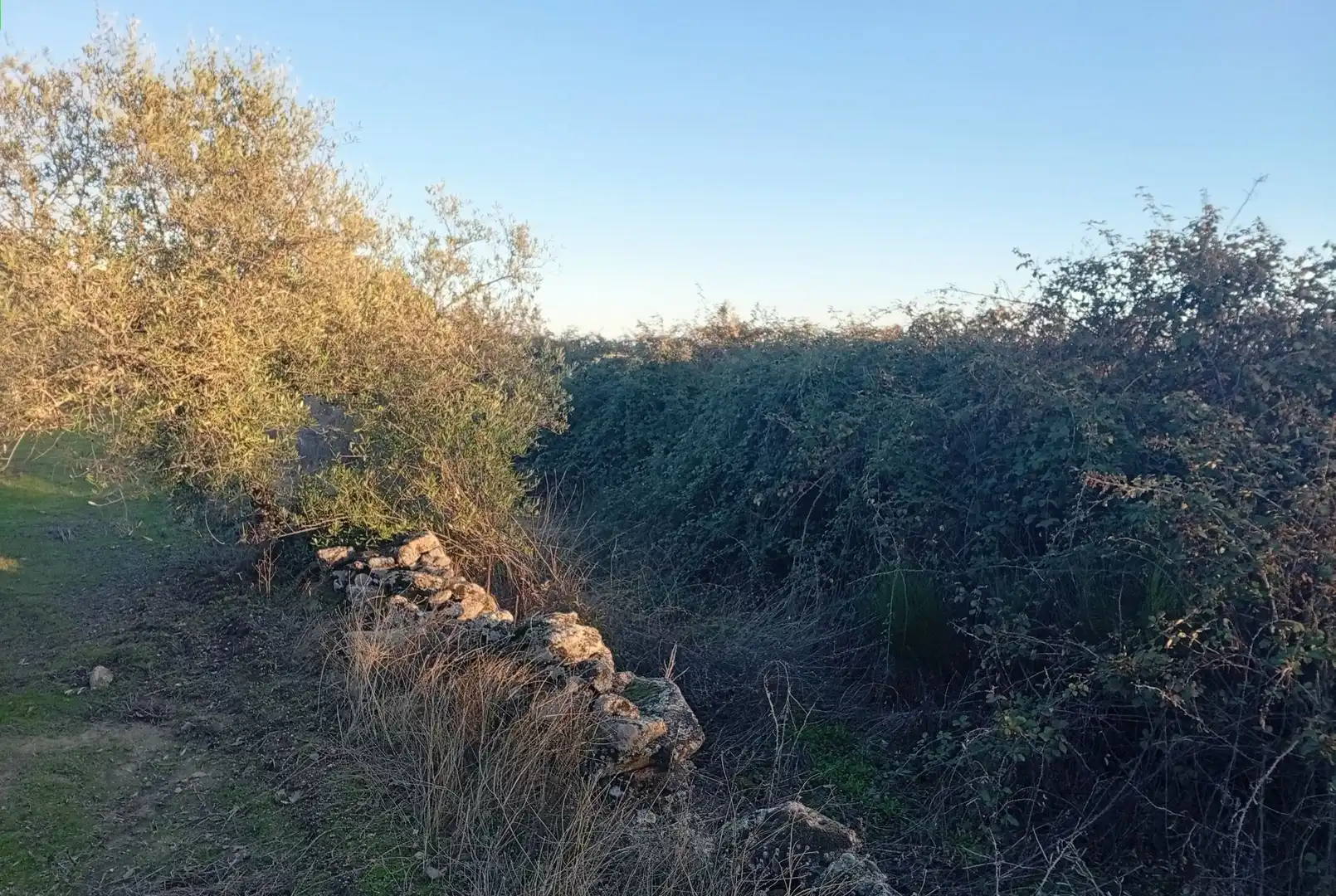 Terreni e lotti in vendita a Viandar de la Vera, imagen 28