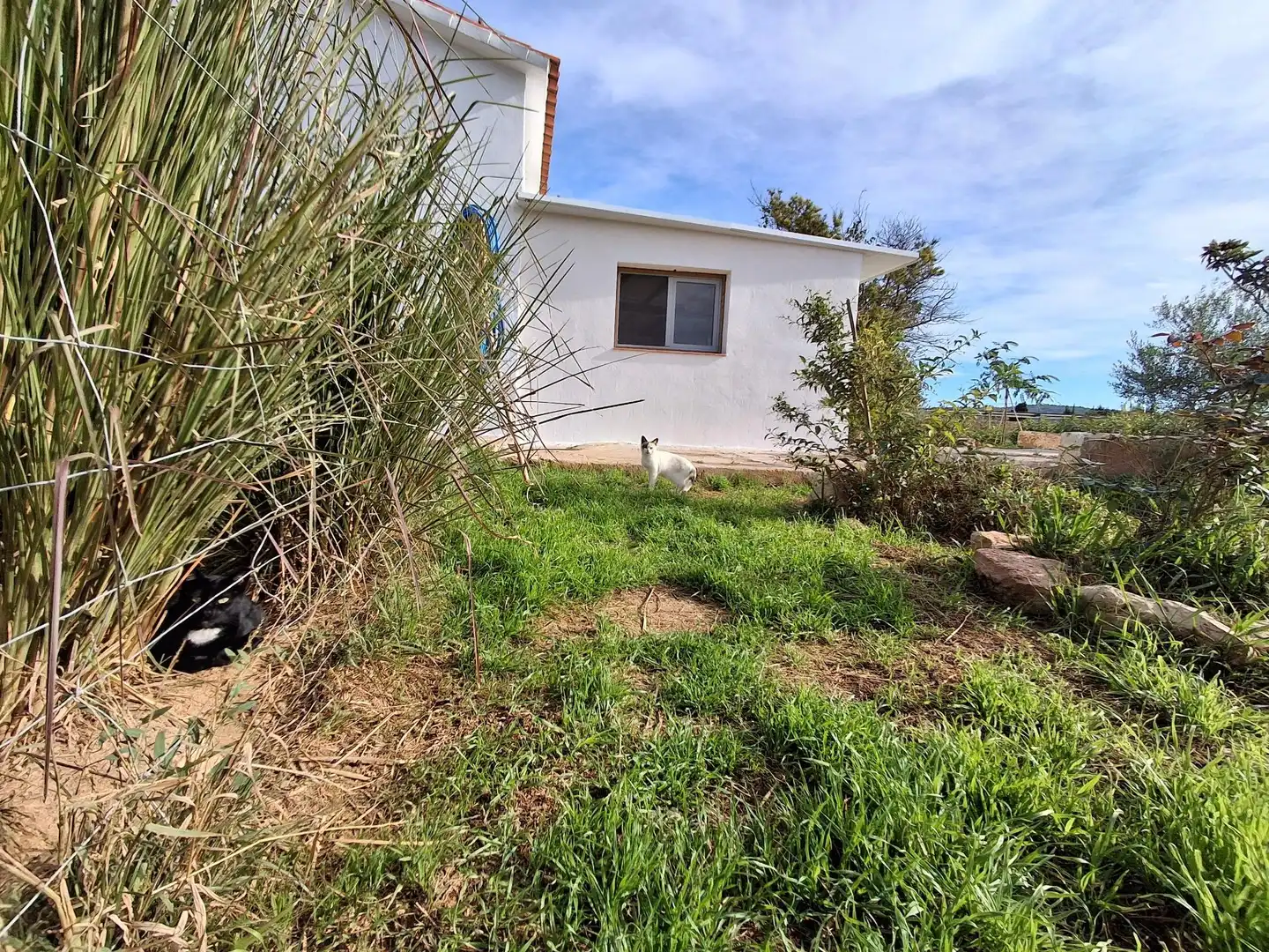 Casa o xalet en venda en Amposta