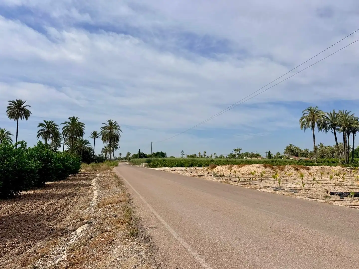 Houses for sale in Elche / Elx
