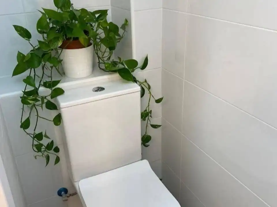 Badezimmer von Geschaftsraum zur Miete in Bilbao 