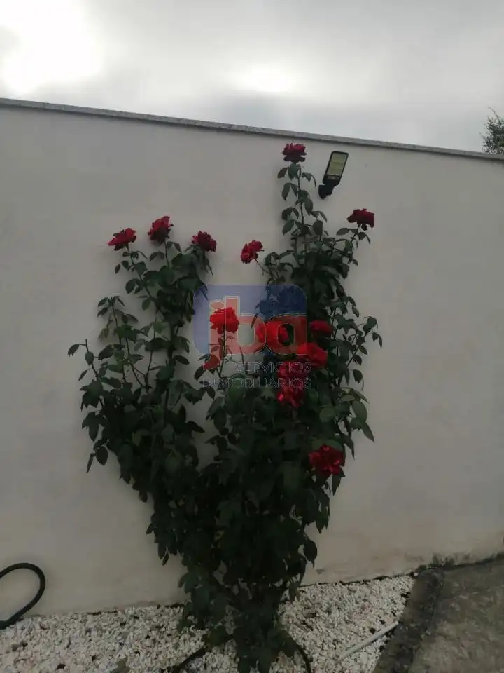 Jardín de Casa o chalet de alquiler en Trasmiras con Calefacción, Jardín privado y Terraza