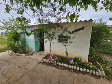 Casa rústica en venda a Eucaliptus- Poble Nou del Delta