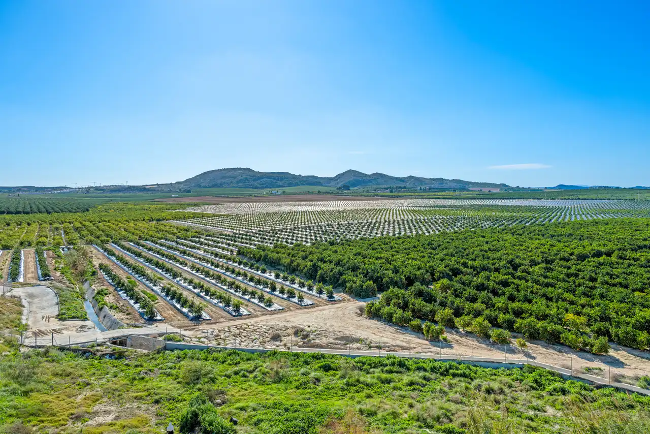 Apartments for sale in Algorfa