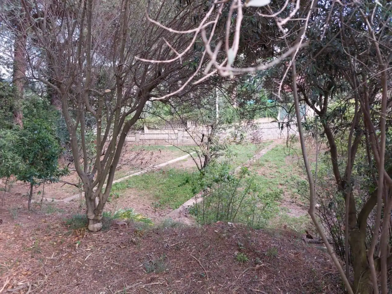 Residential land for sale in Calle Cova Simanya, imagen 12