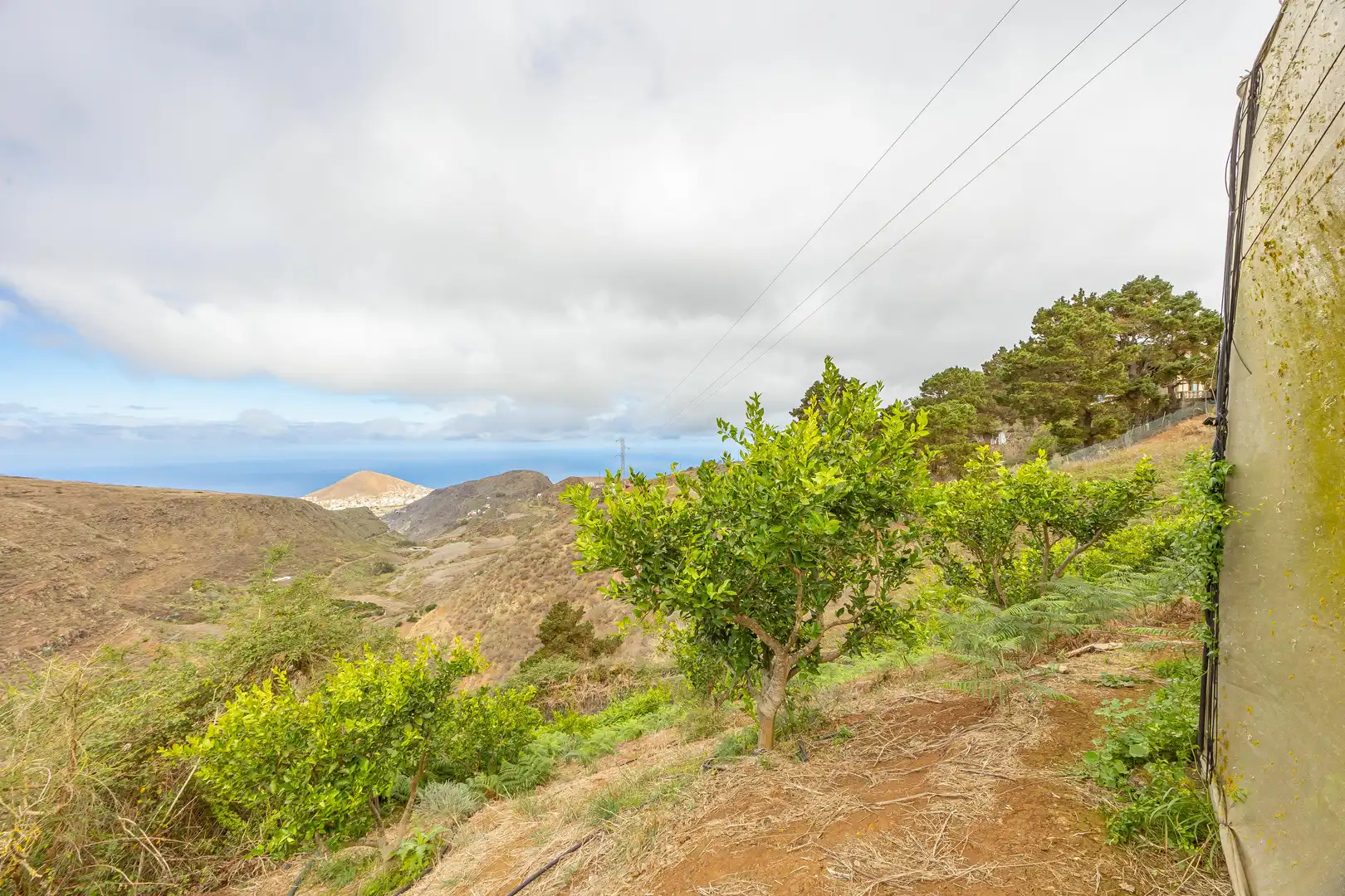 Residencial en venta en Lugar Lomo del Poleo, Saucillo - Fagajesto - Juncalillo