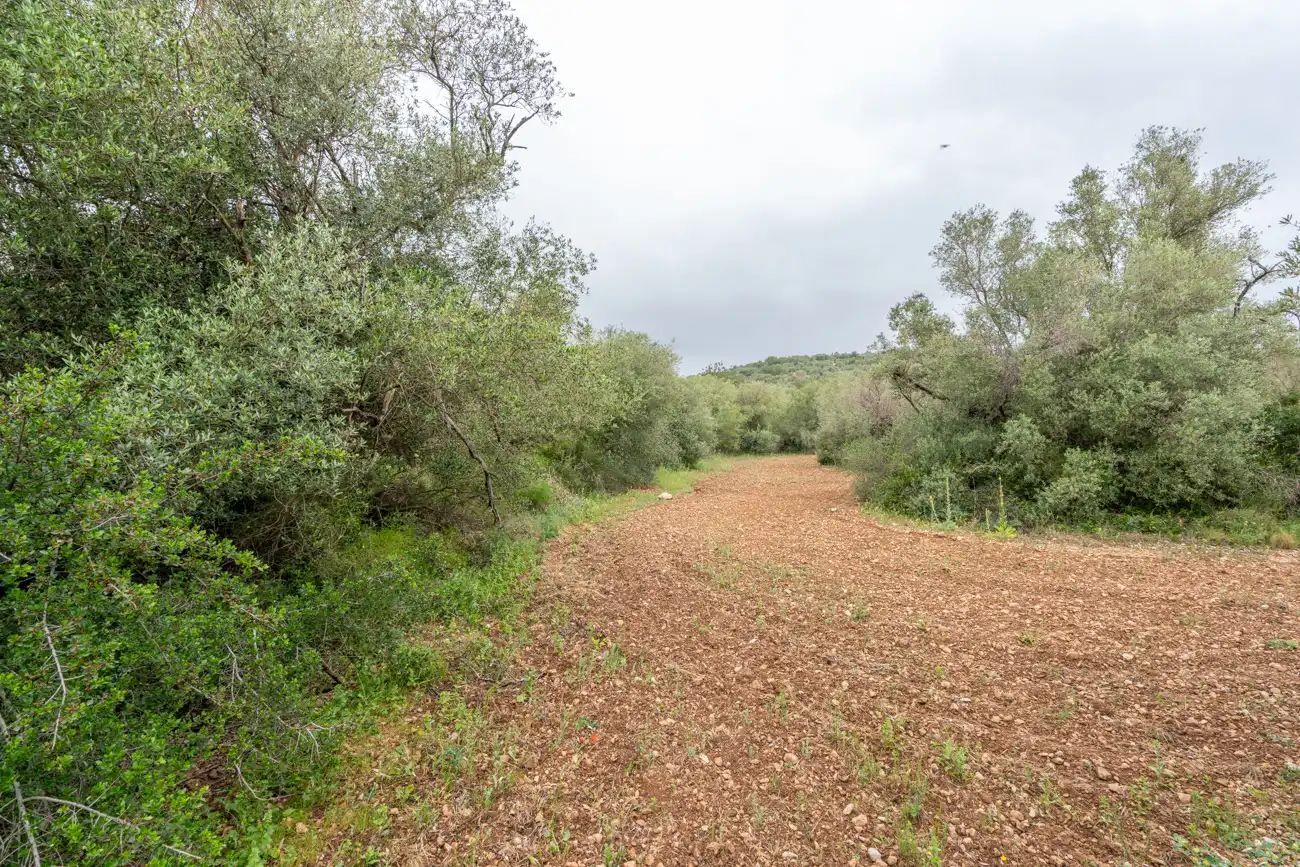 Terreno en venta en Mas de Barberans