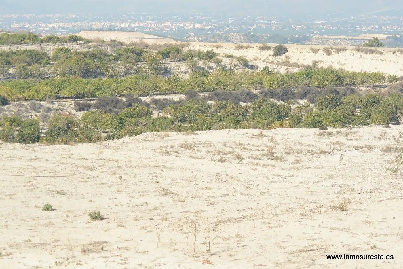 Rural land for sale in Desamparados - Hurchillo - Torremendo, imagen 3