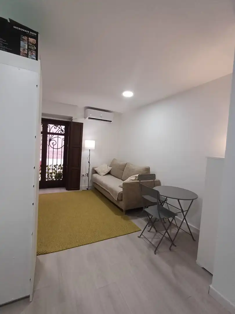 Sala de estar de Estudio de alquiler en Murcia con Aire acondicionado, Calefacción y Amueblado