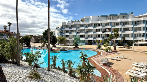 Foto 3 de Estudi en venda a Golf del Sur, Golf del Sur - Amarilla Golf, San Miguel de Abona