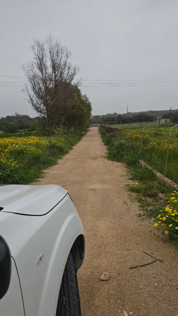 Finca rústica en venta en Marratxí con Aire acondicionado, Calefacción y Jardín privado