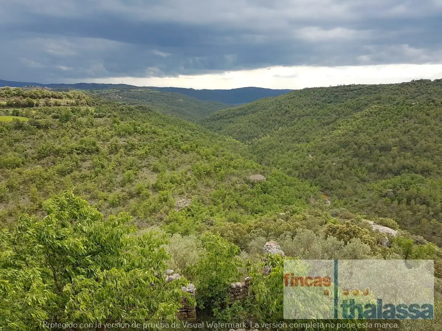 Land for sale in La Baronia de Rialb