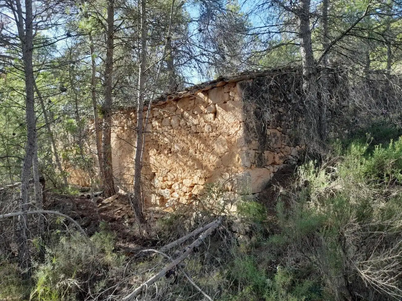 Exterior view of Land for sale in La Palma d'Ebre