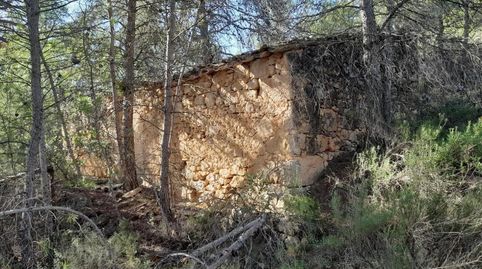 Foto 3 de Terreno en venta en La Palma d'Ebre, Tarragona