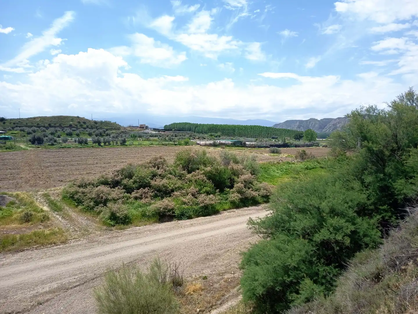 Terreno en venta en Fonelas