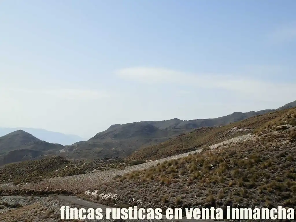 Terreny rústic en venda a Pechina, imagen 4