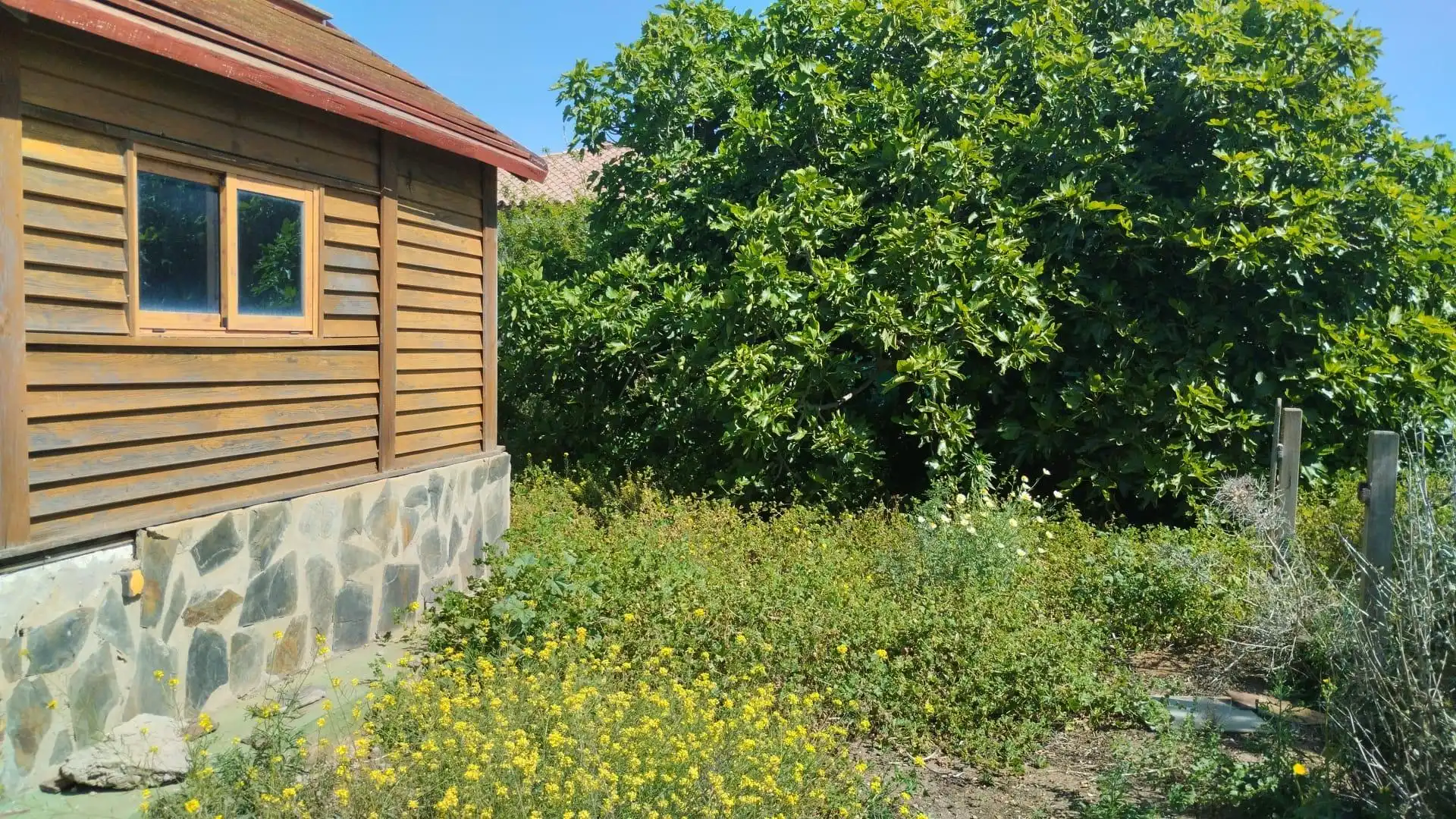 Landhaus mit Pool zum Verkauf in Pelagatos - Pago del Humo, imagen 5