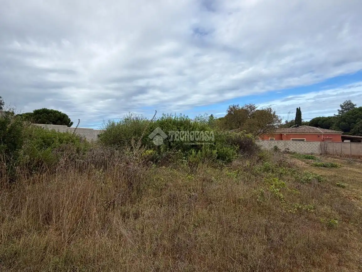 Rural land for sale in Las Lagunas - Campano, imagen 8