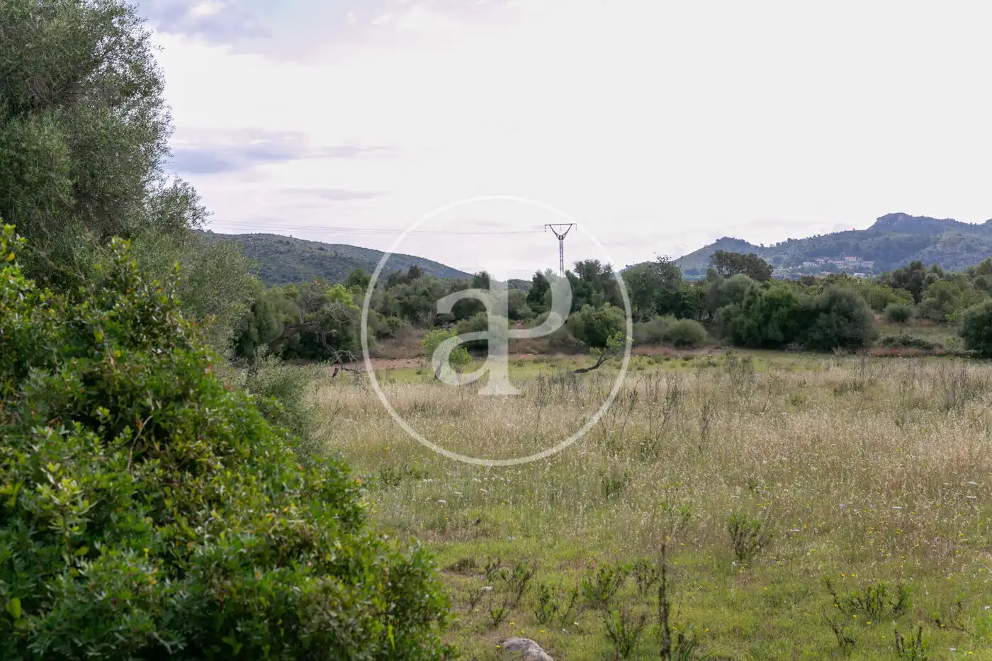 Terreny residencial en venda a Av. Montferrutx, imagen 19