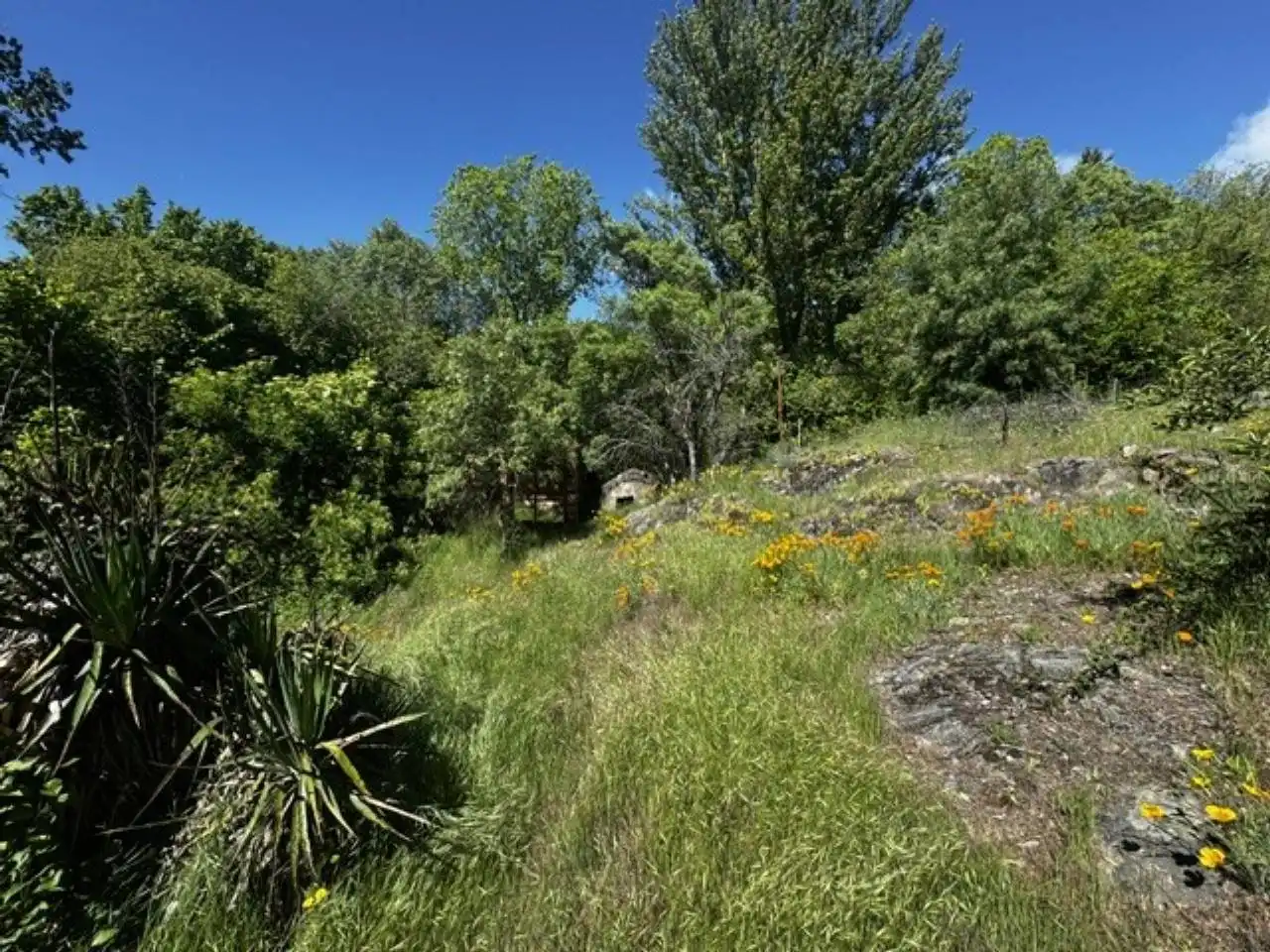Houses for sale in Villavieja del Lozoya  with Private garden, Terrace and Swimming Pool