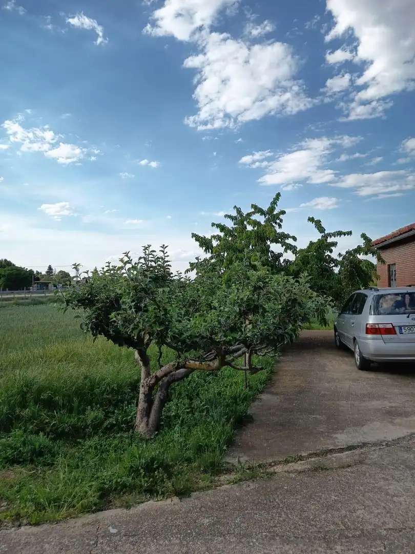 Terreni e lotti in vendita a Grijota, imagen 9