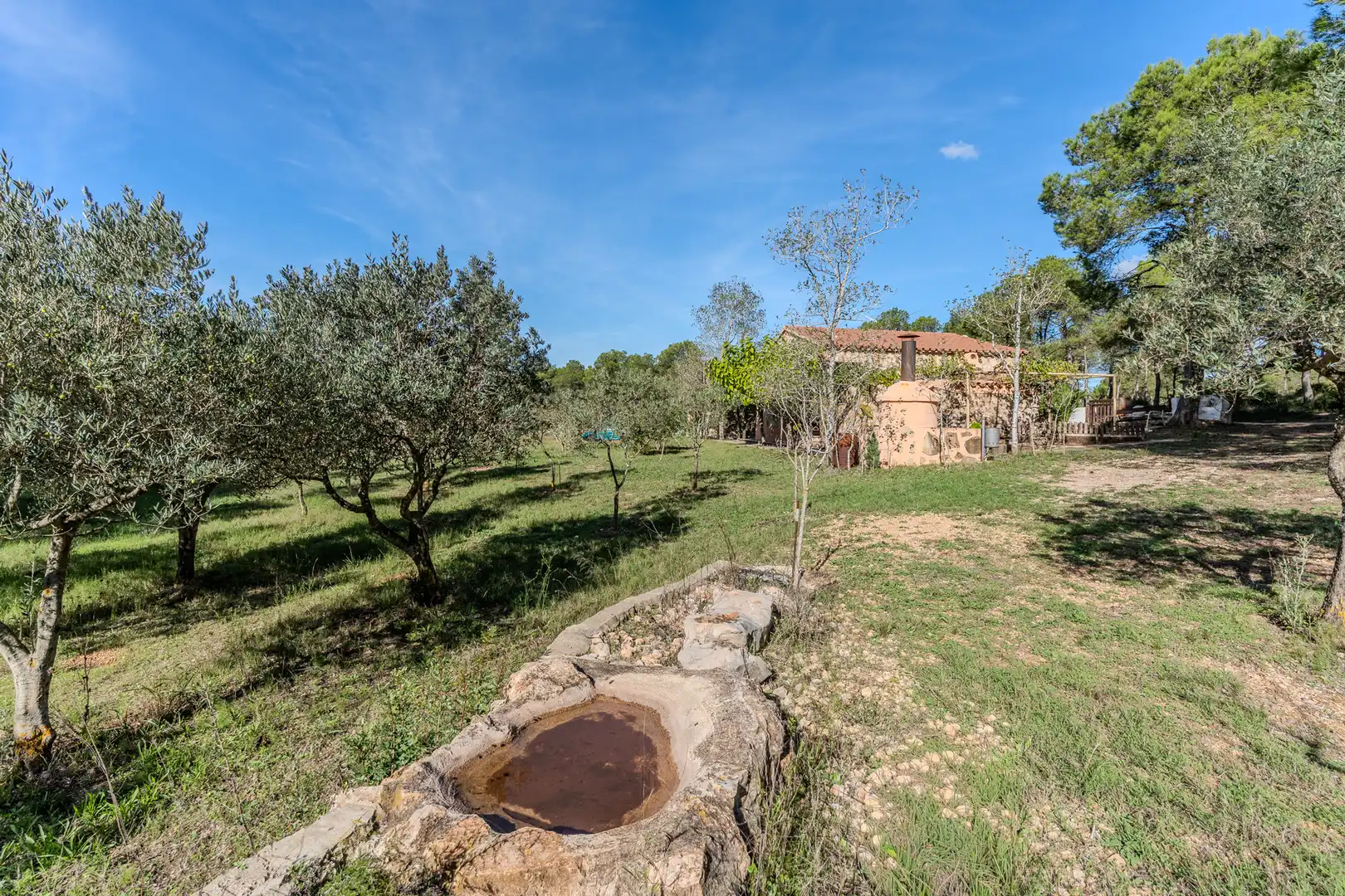 Landhaus mit Terrasse zum Verkauf in Diseminado Poligono 5, imagen 33