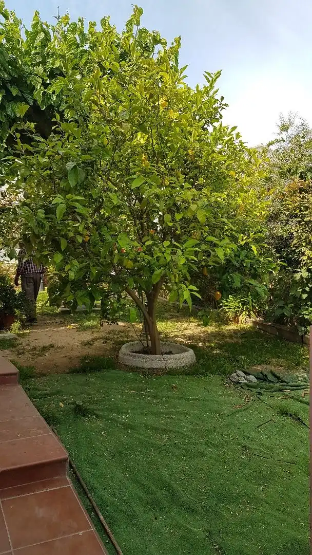 Casa o xalet en venda a La Pobla de Montornès