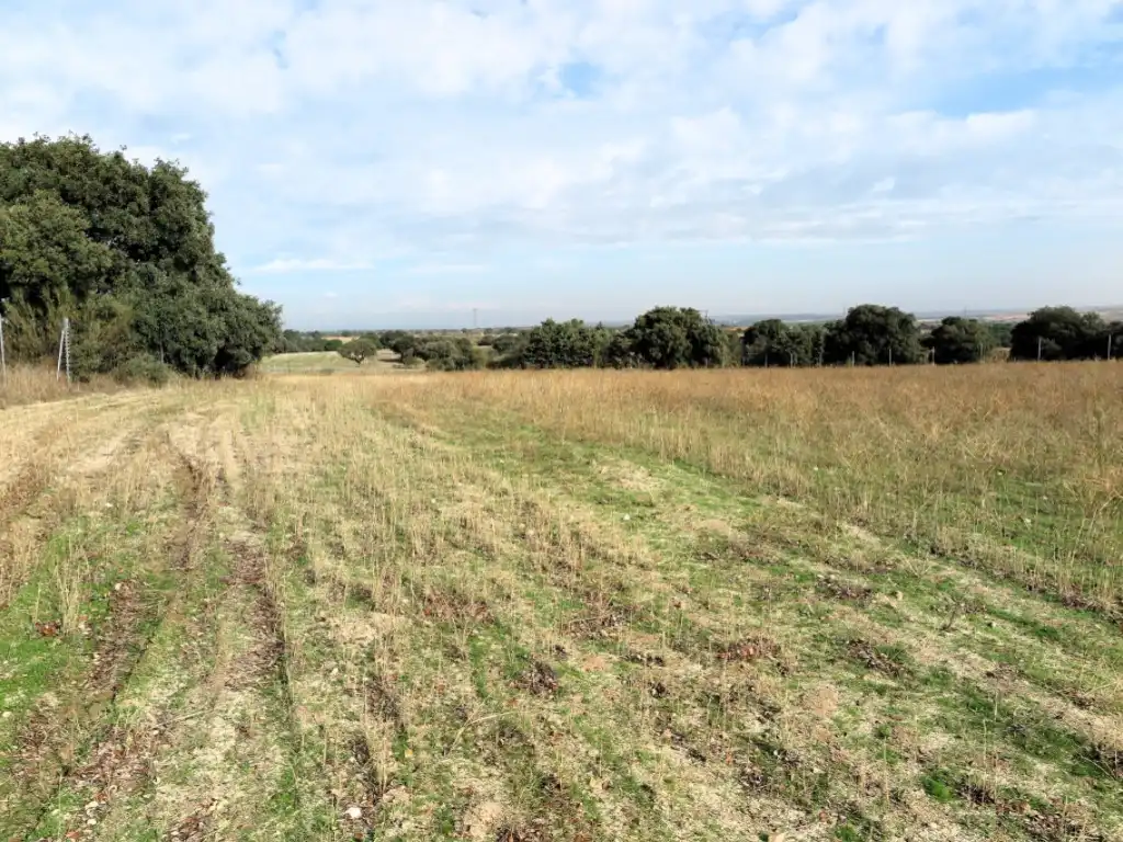 Casa o chalet en venta en Diseminados Camino Casa Roque, 294, La Dehesa - El Pinar