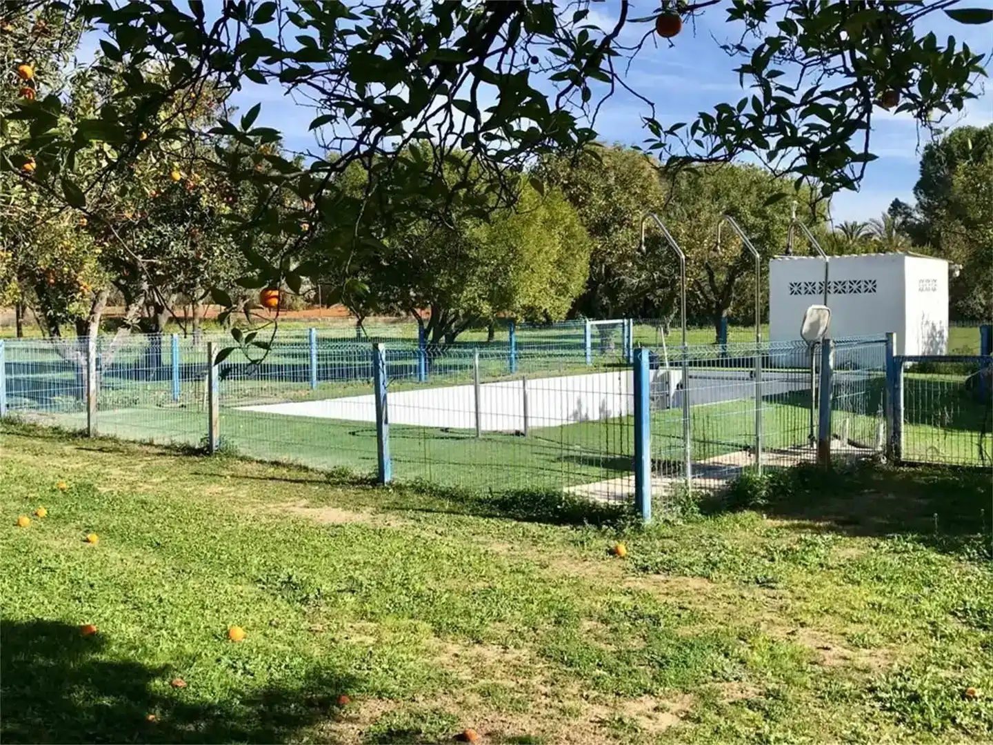 Piscina de Pis en venda en Sanlúcar la Mayor, Sevilla