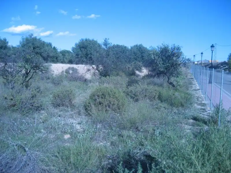 Grundstücke und Bauplätze zum Verkauf in Huércal-Overa, imagen 8