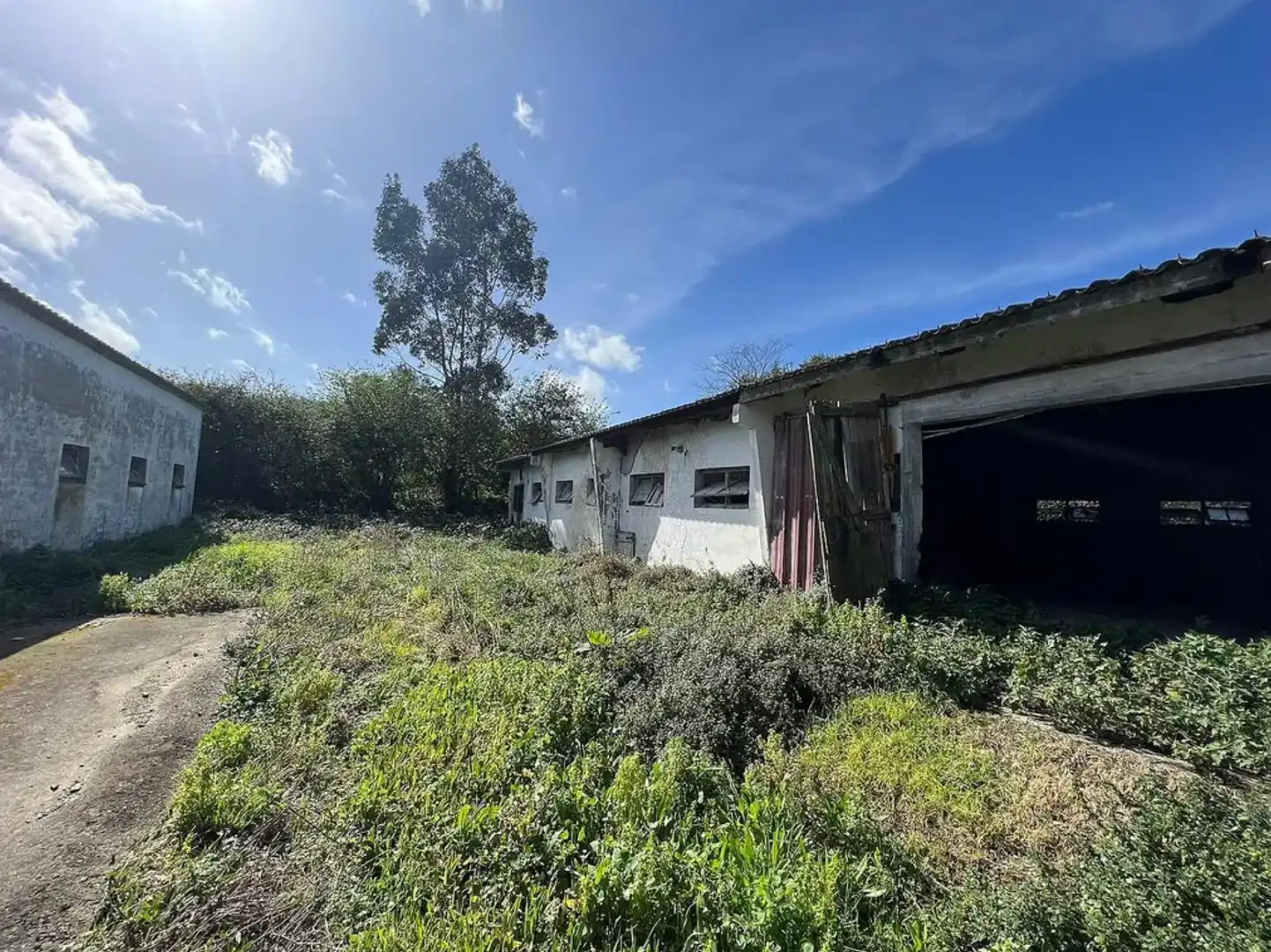Industriegebäude zum Verkauf in Valdoviño, imagen 11