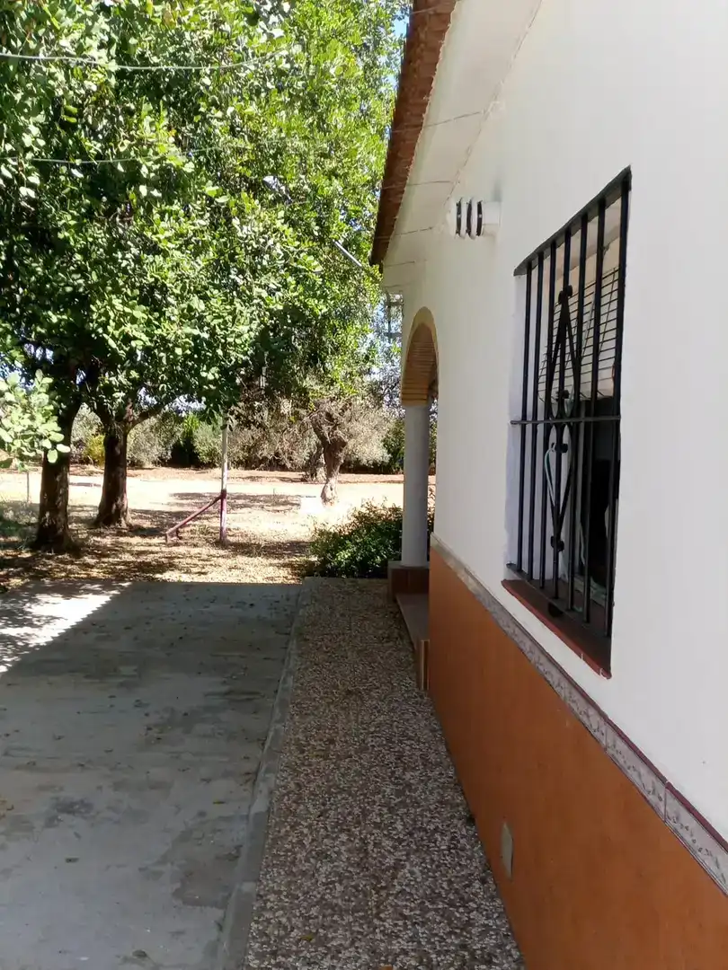 Jardín de Finca rústica en venta en Utrera con Aire acondicionado, Piscina y Amueblado