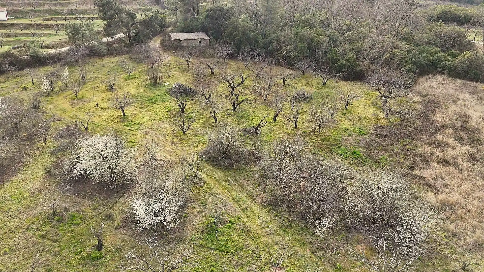 Terreno en venta en Collado de la Vera