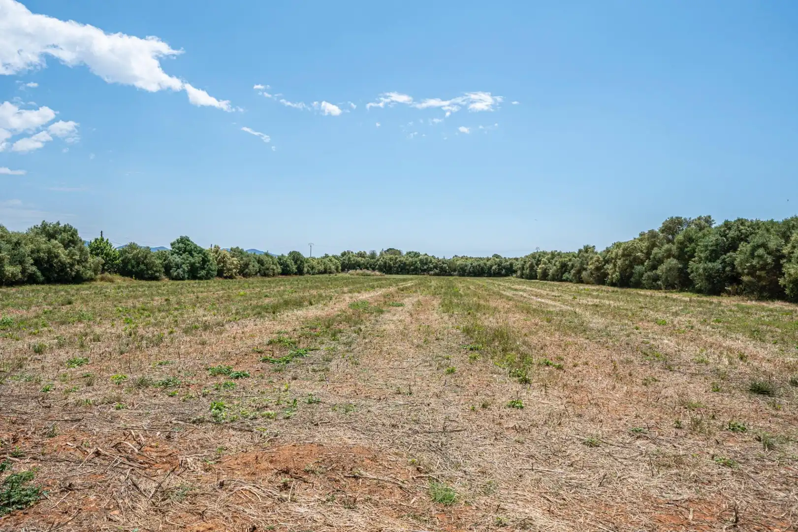 Rural land for sale in Felanitx Poble, imagen 4