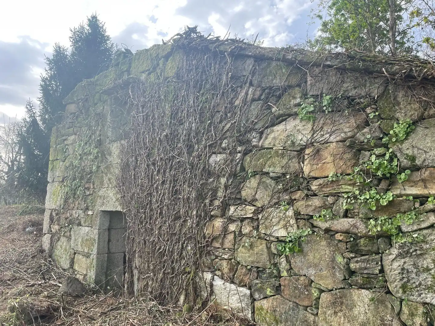 Casa rústica en venda a Vilaboa, imagen 4
