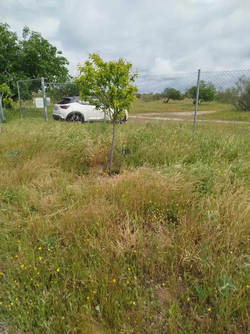 Terreno rústico en venta en Fuencarral - El Pardo, imagen 24