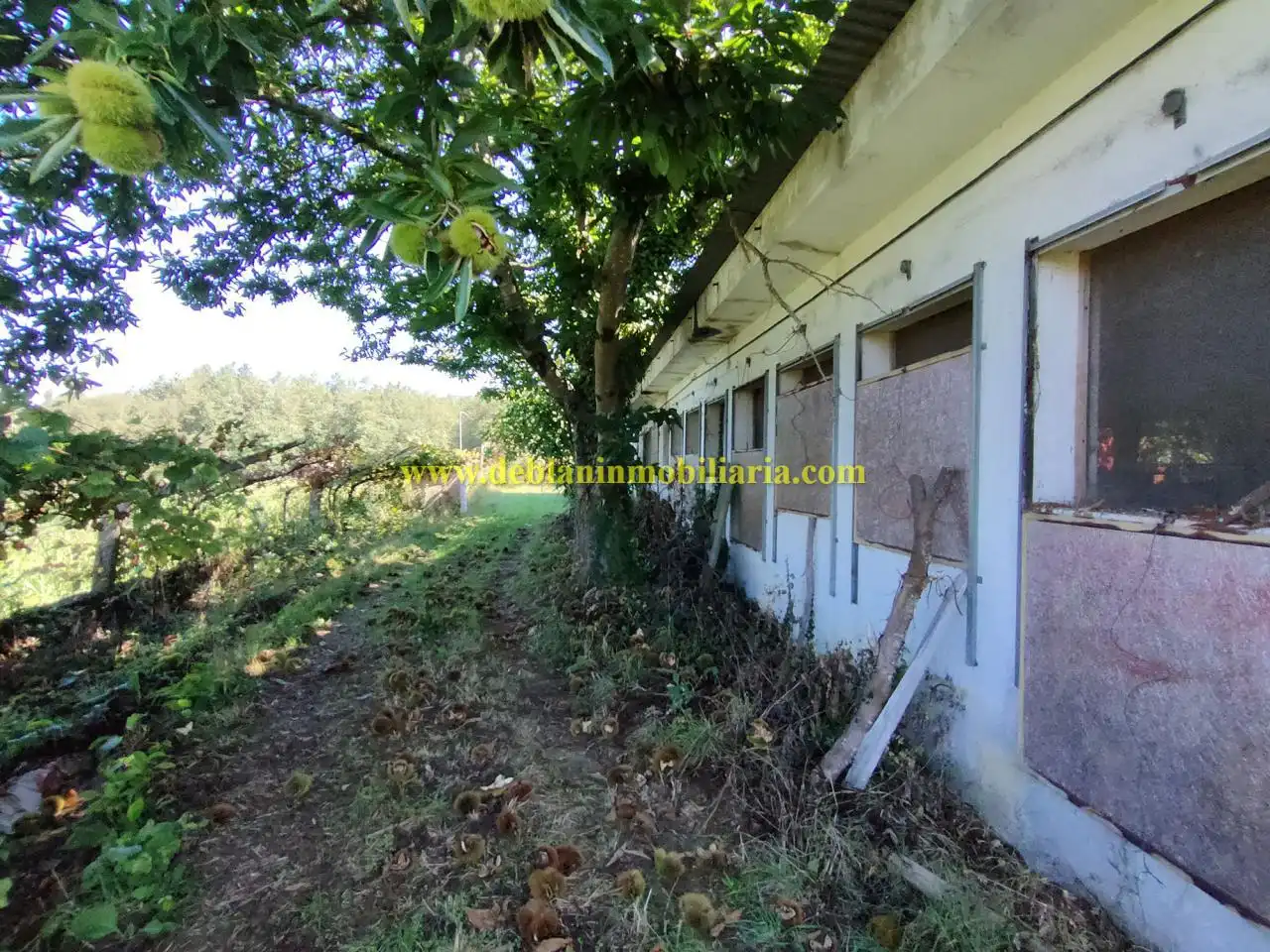 Maison avec jardin à vendre à Tui, imagen 29