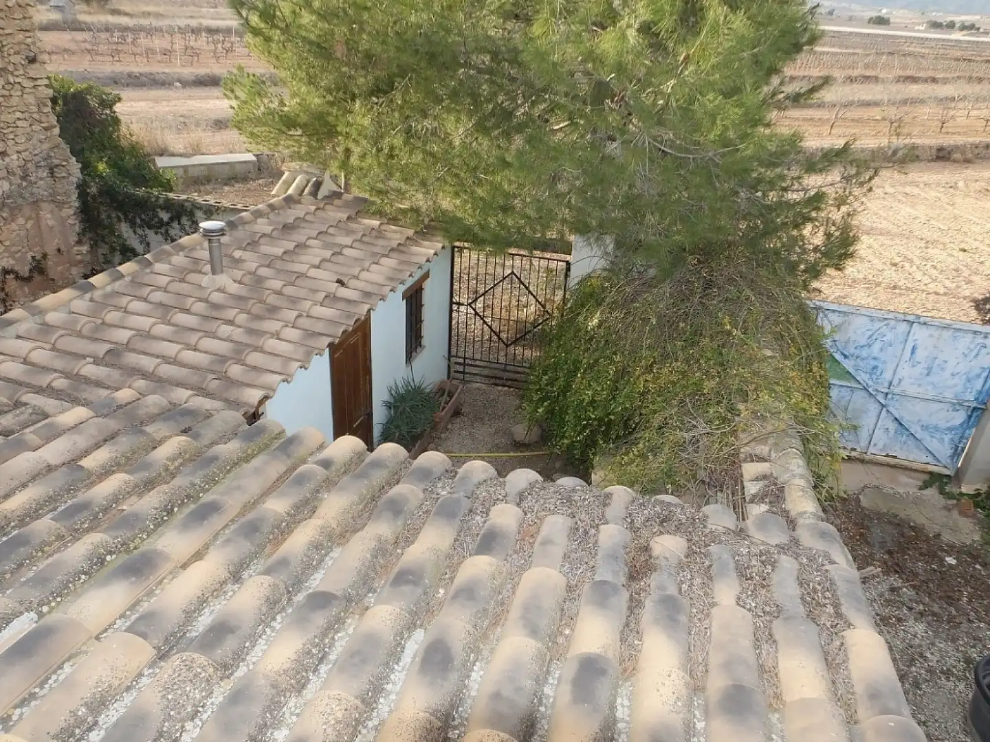 Casa rústica en venta en El Pinós / Pinoso, imagen 27