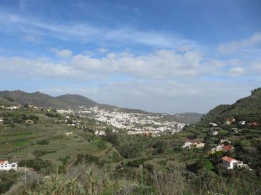 Terreno rustico in vendita a El Álamo - Arbejales