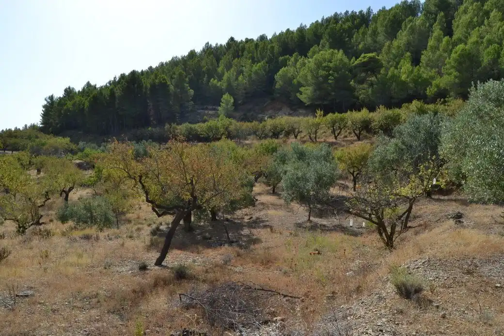 Grundstücke und Bauplätze zum Verkauf in El Castell de Guadalest, imagen 11