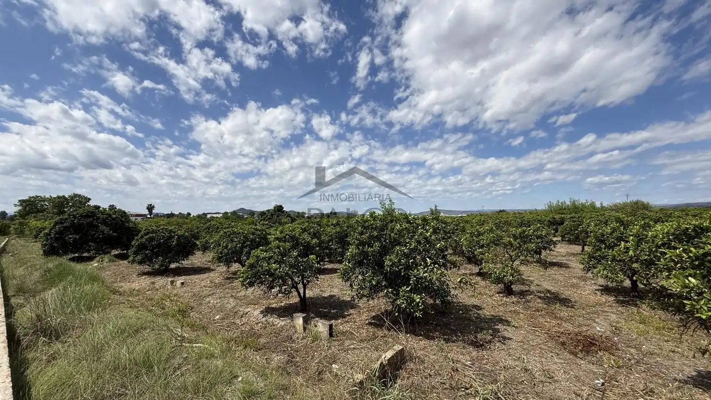 Terrain rustique à vendre à La Pobla Llarga, imagen 5