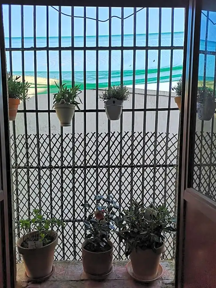 Terraza de Casa o chalet en venta en Arcos de la Frontera, Cádiz
