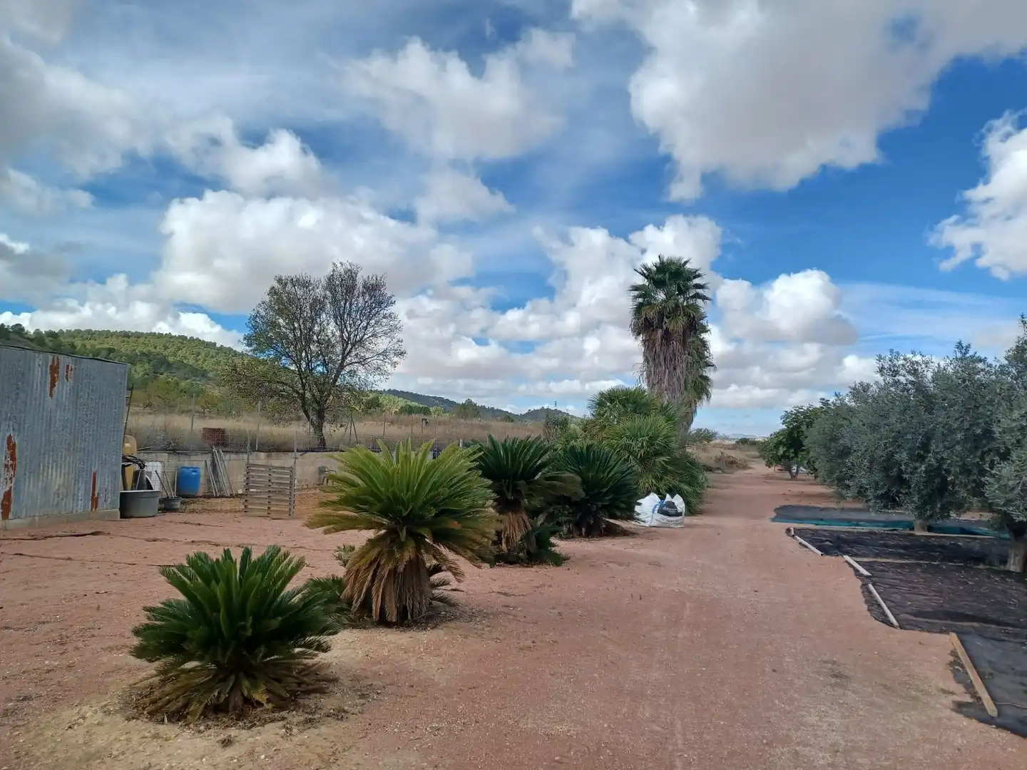 Casa rustica in vendita a Monóvar  / Monòver, imagen 7
